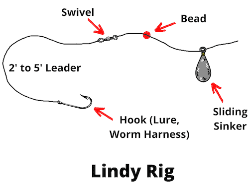Lindy Rig For Walleye