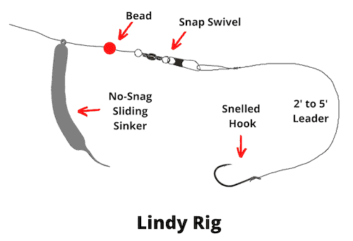 Lindy rig diagram