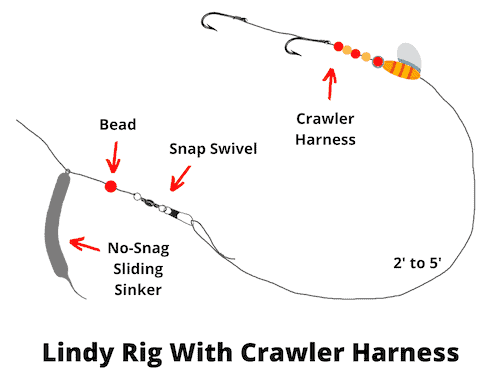 Lindy rig with crawler harness diagram
