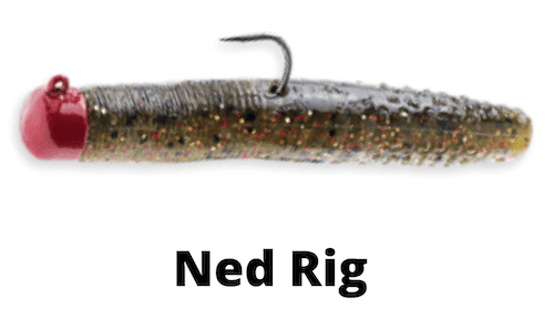 Ned Rig For Walleye