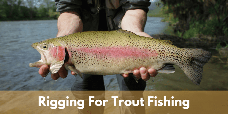 trout fishing