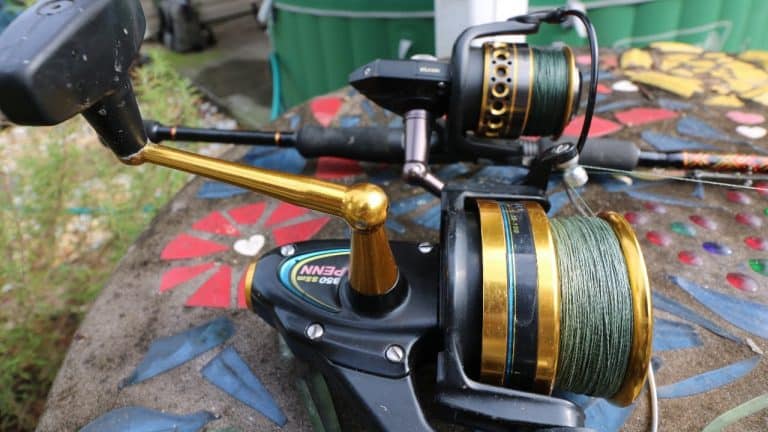 Spinning Reel Sizes – Choose The Best Size Reel For Your Purpose