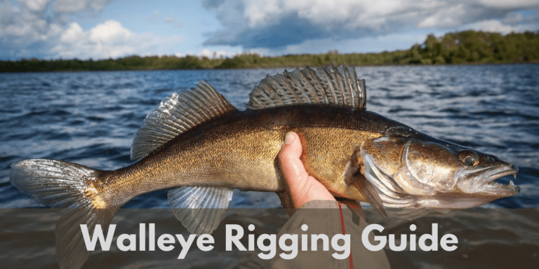 Rigging Guide For Walleye (With Pictures)