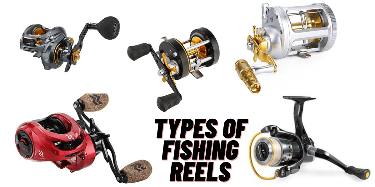 Types Of Fishing Reels