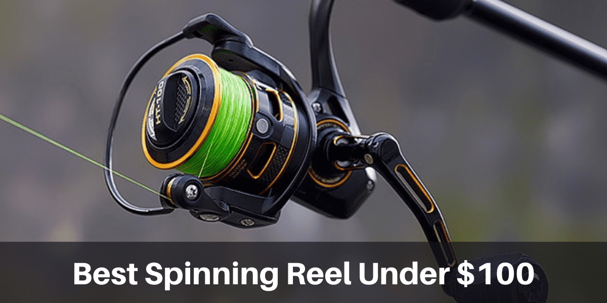 Fishing Spinning Reels Under 100 Dollars