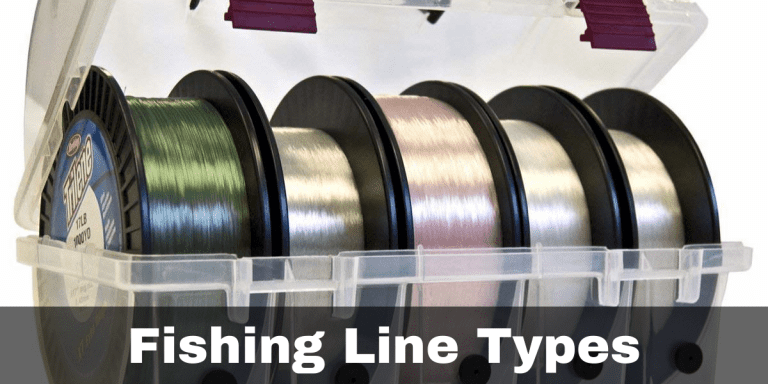 Fishing Line types