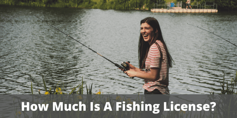 What Is The Price Of A Fishing License? (2022 Comparison Of All States)