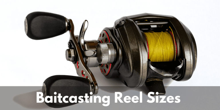 Baitcaster Reel Sizes Explained (With Examples)