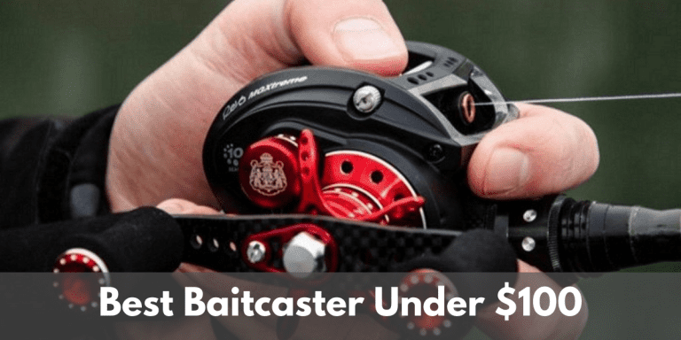 best baitcaster under 100