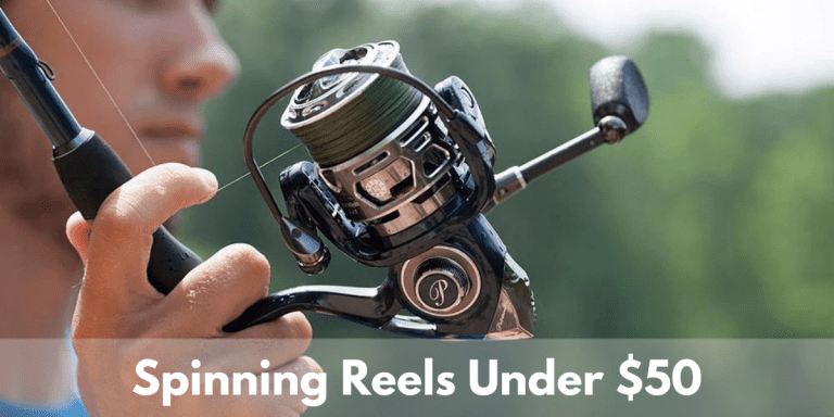 Best Cheap Spinning Reels under 50 Dollars – Buyer’s Guide