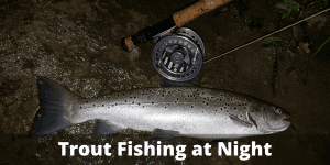 Night Fishing For Trout