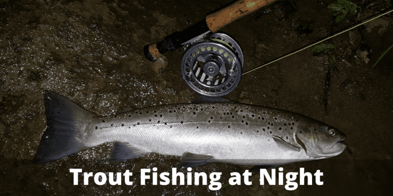 Trout Fishing At Night – Detailed How To Guide