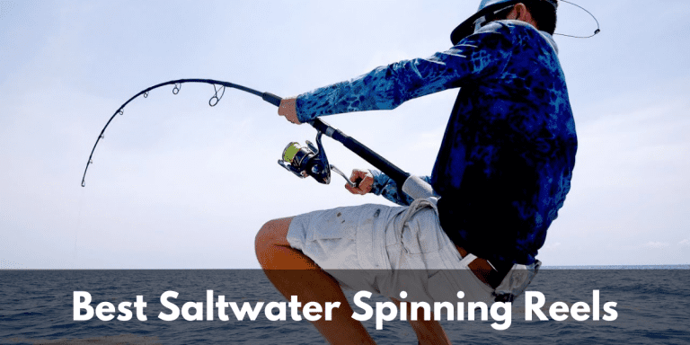 Top 10 Best Saltwater Spinning Reels – 2022 Buyer’s Guide