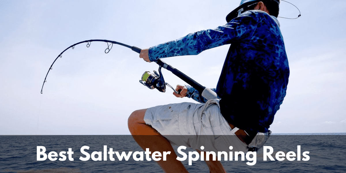top 10 saltwater spinning reels