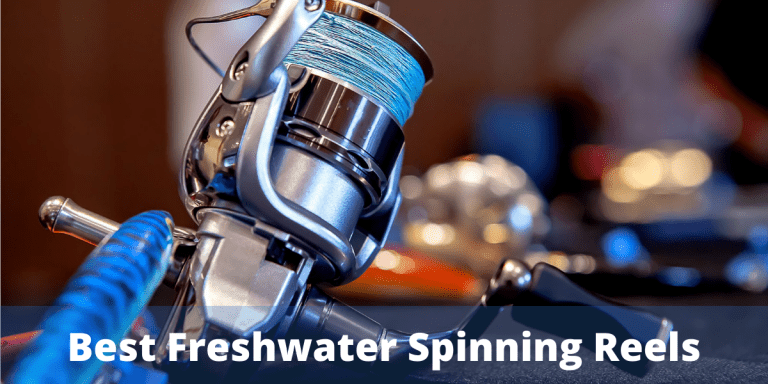 Top 10 Best Freshwater Spinning Reels – Reviews & Buying Guide