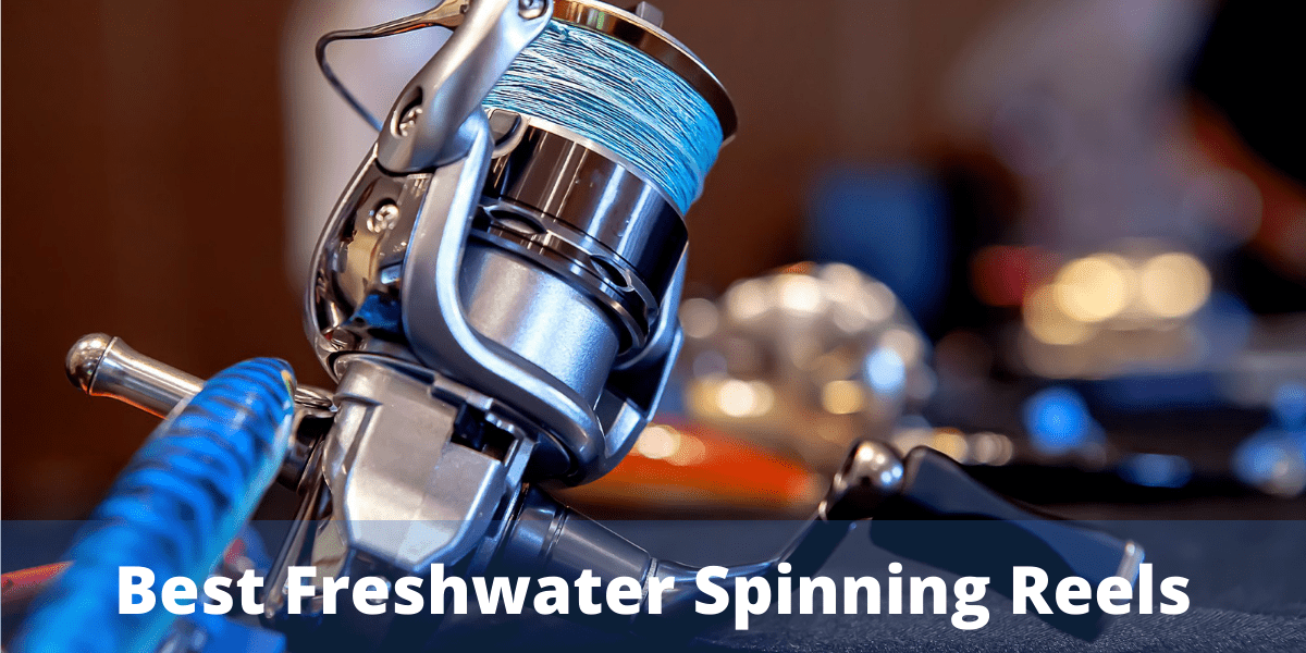 best spinning reel for freshwater