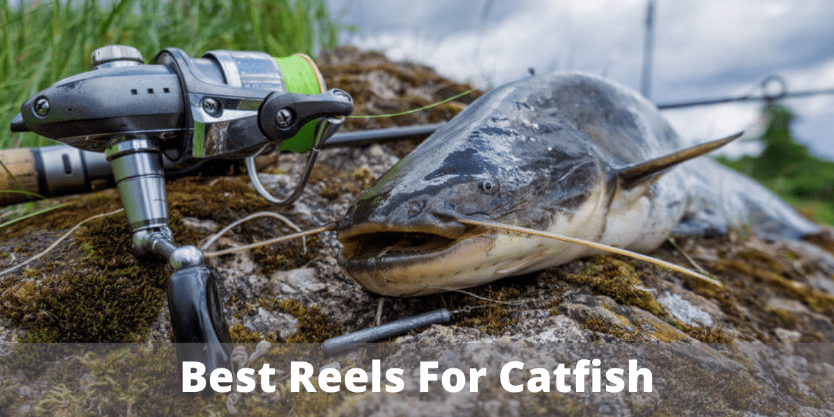 best catfish reels