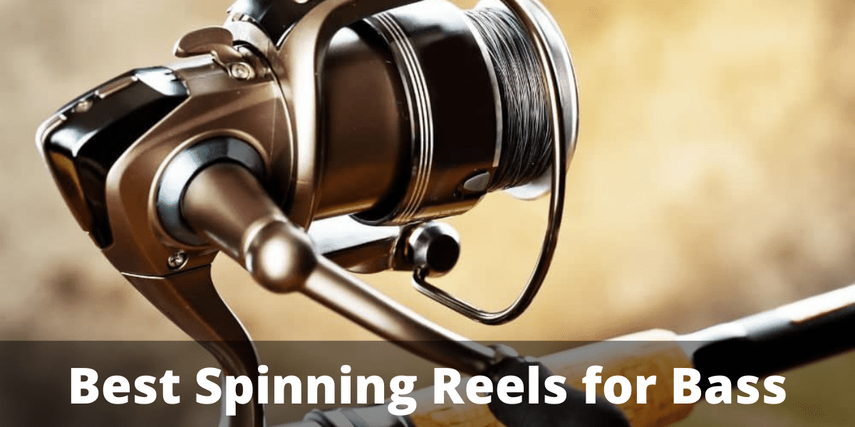 Bass Spinning Reels