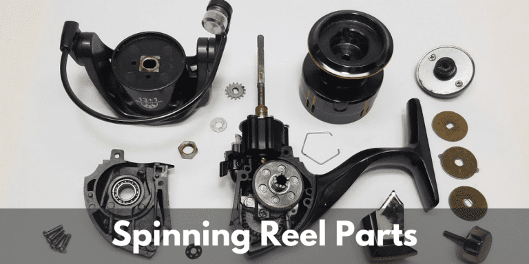 Spinning Reel Parts & What To Look For When Buying A Reel