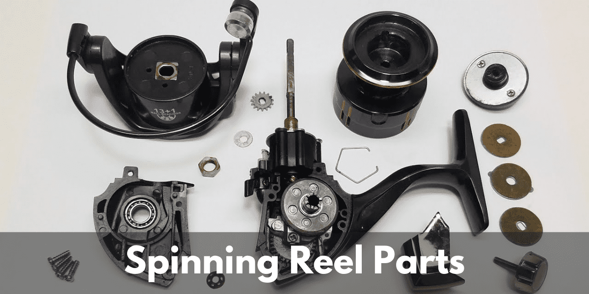 Spinning Reel Parts