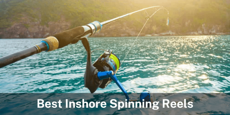 Best Saltwater Inshore Spinning Reels
