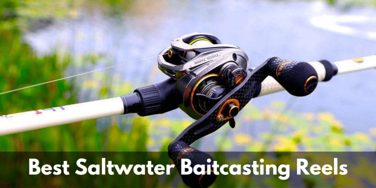 Best Saltwater Baitcasting Reels