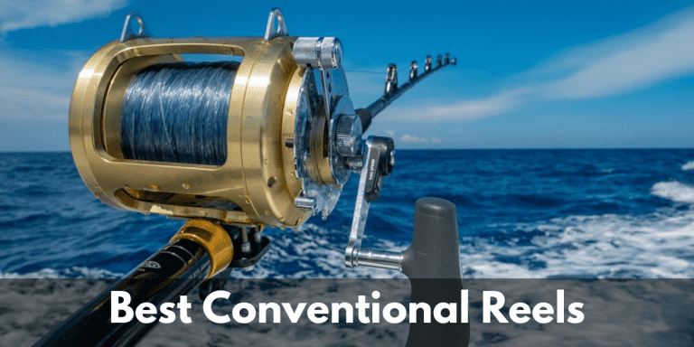 Best Offshore Conventional Trolling Fishing Reels 2022