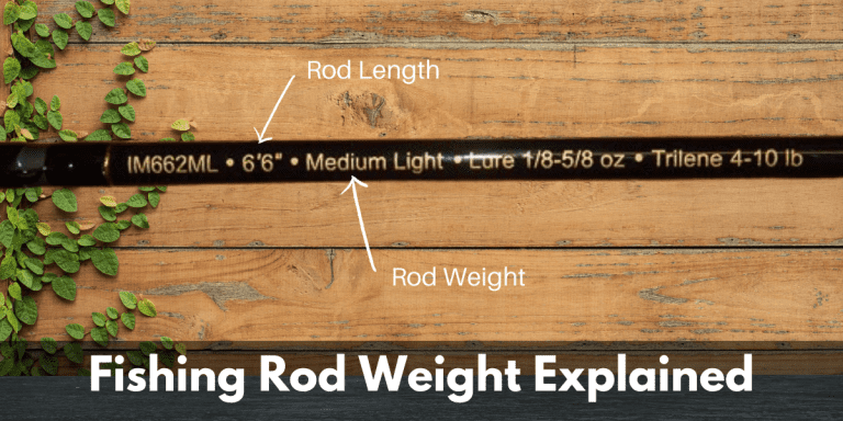 Fishing Rod Weight Explained