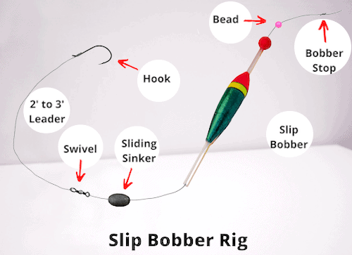 Slip bobber rig diagram