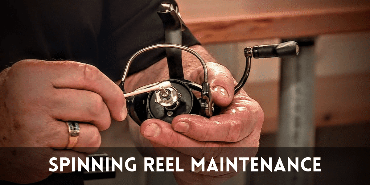 Spinning reel maintenance