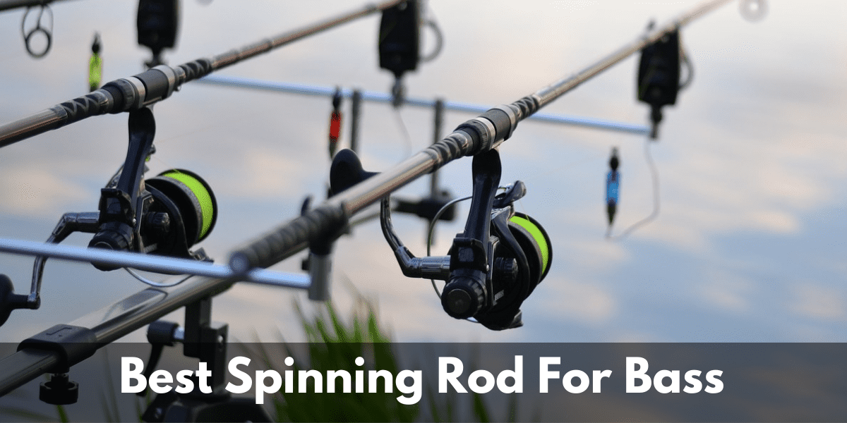 Best Spinning Rod For Bass