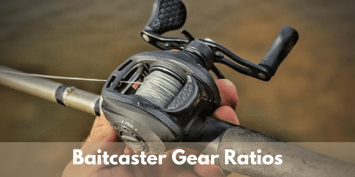 Baitcaster Gear Ratios