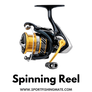 What is a Spinning Reel